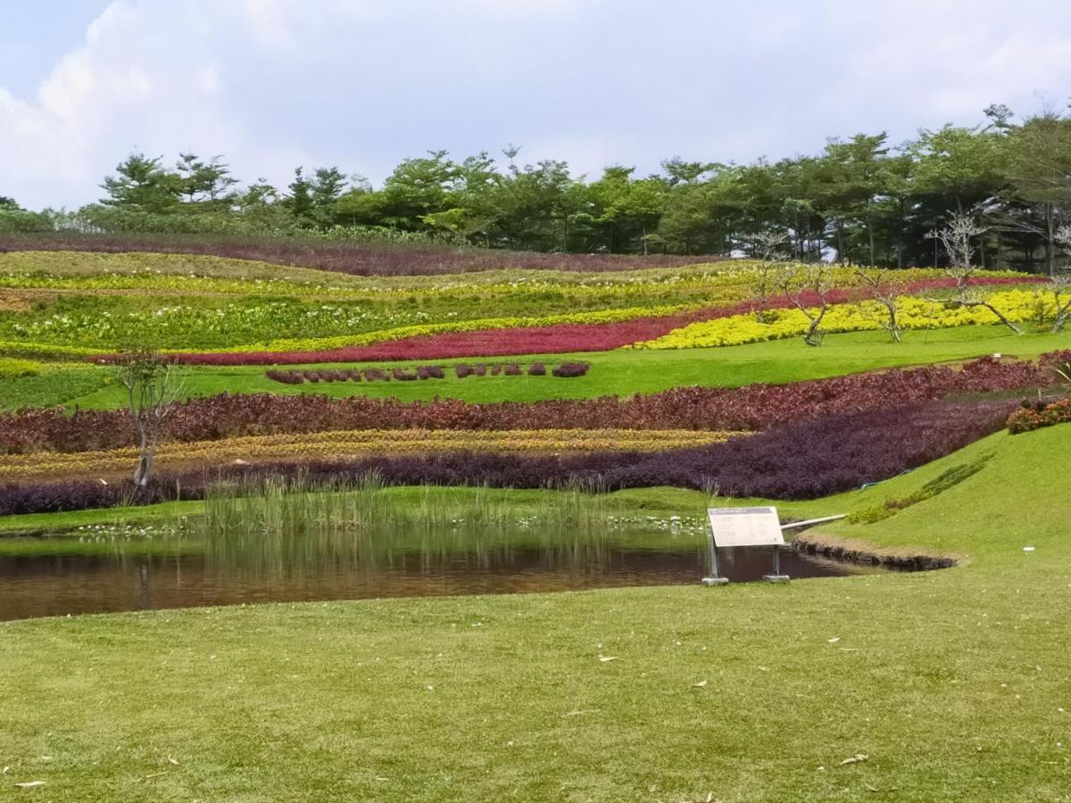 Vimala Hill And - 3 Bedrooms *